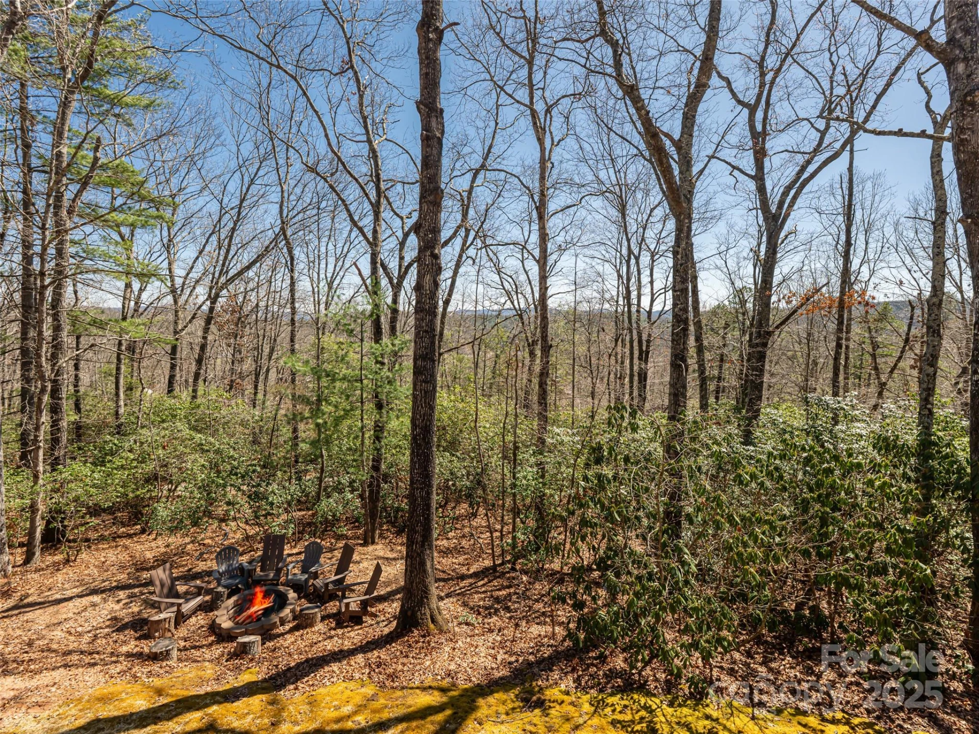 75 Deep Woods Road - Photo 2