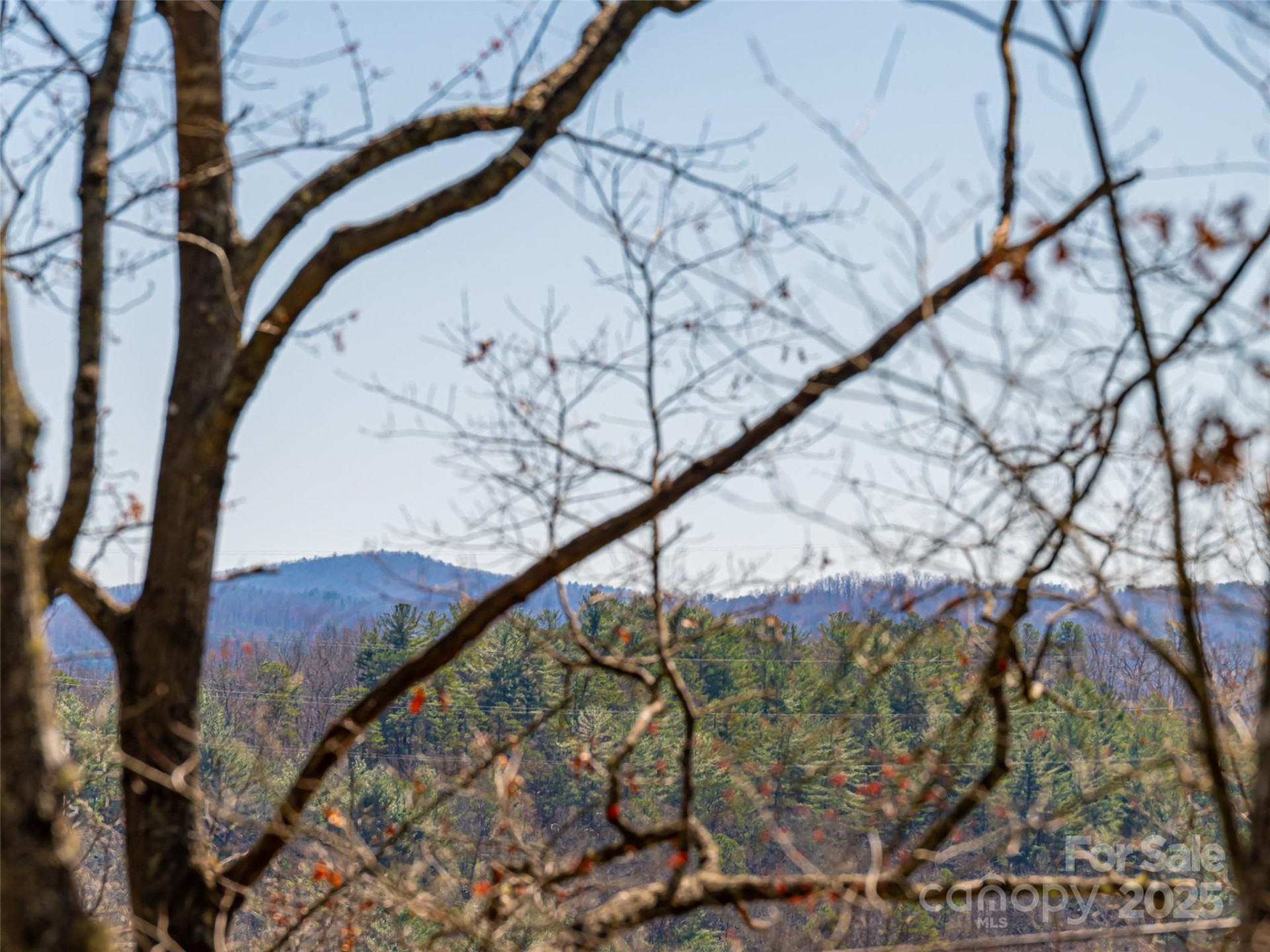 75 Deep Woods Road - Photo 3