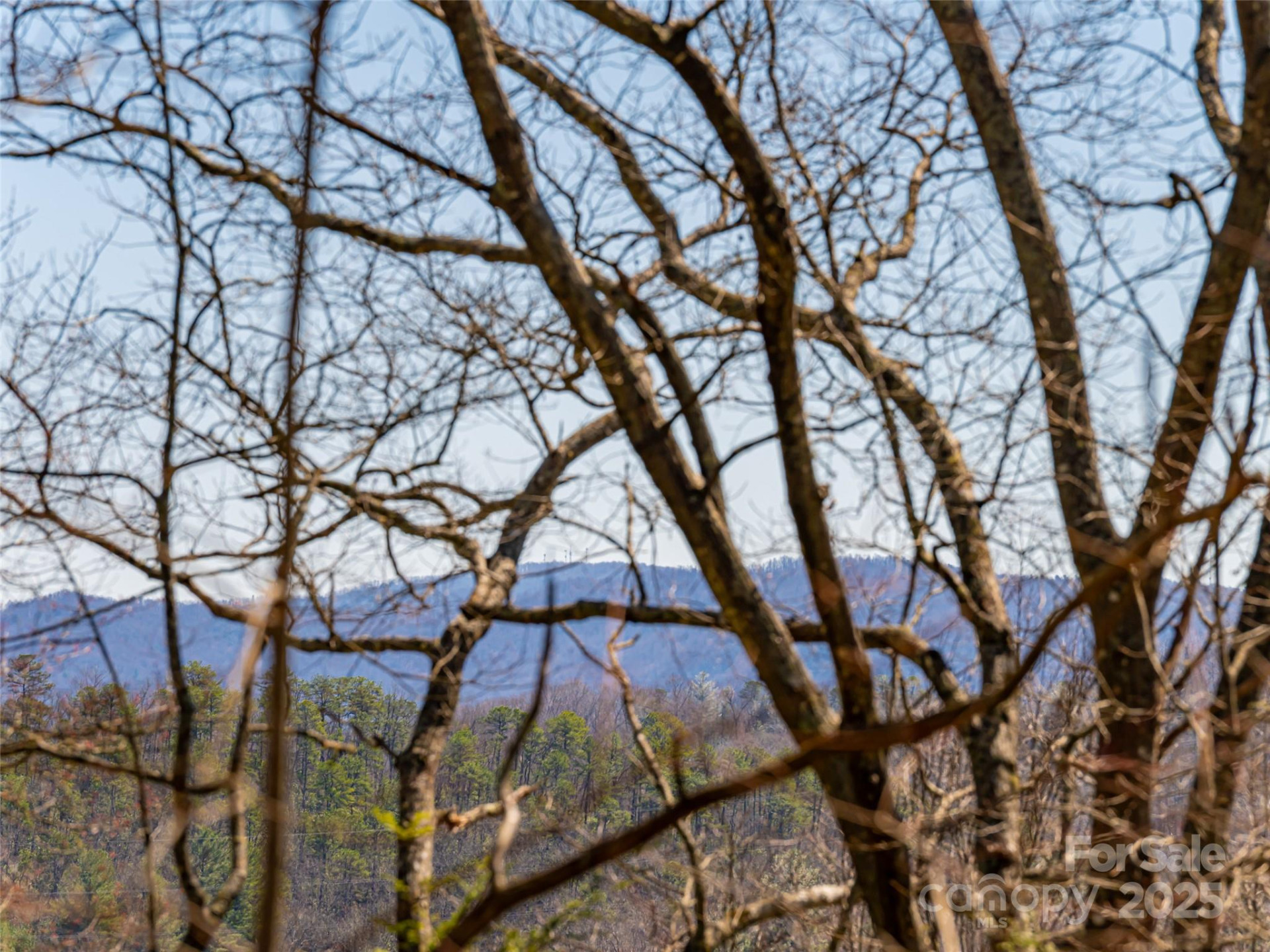 75 Deep Woods Road - Photo 34