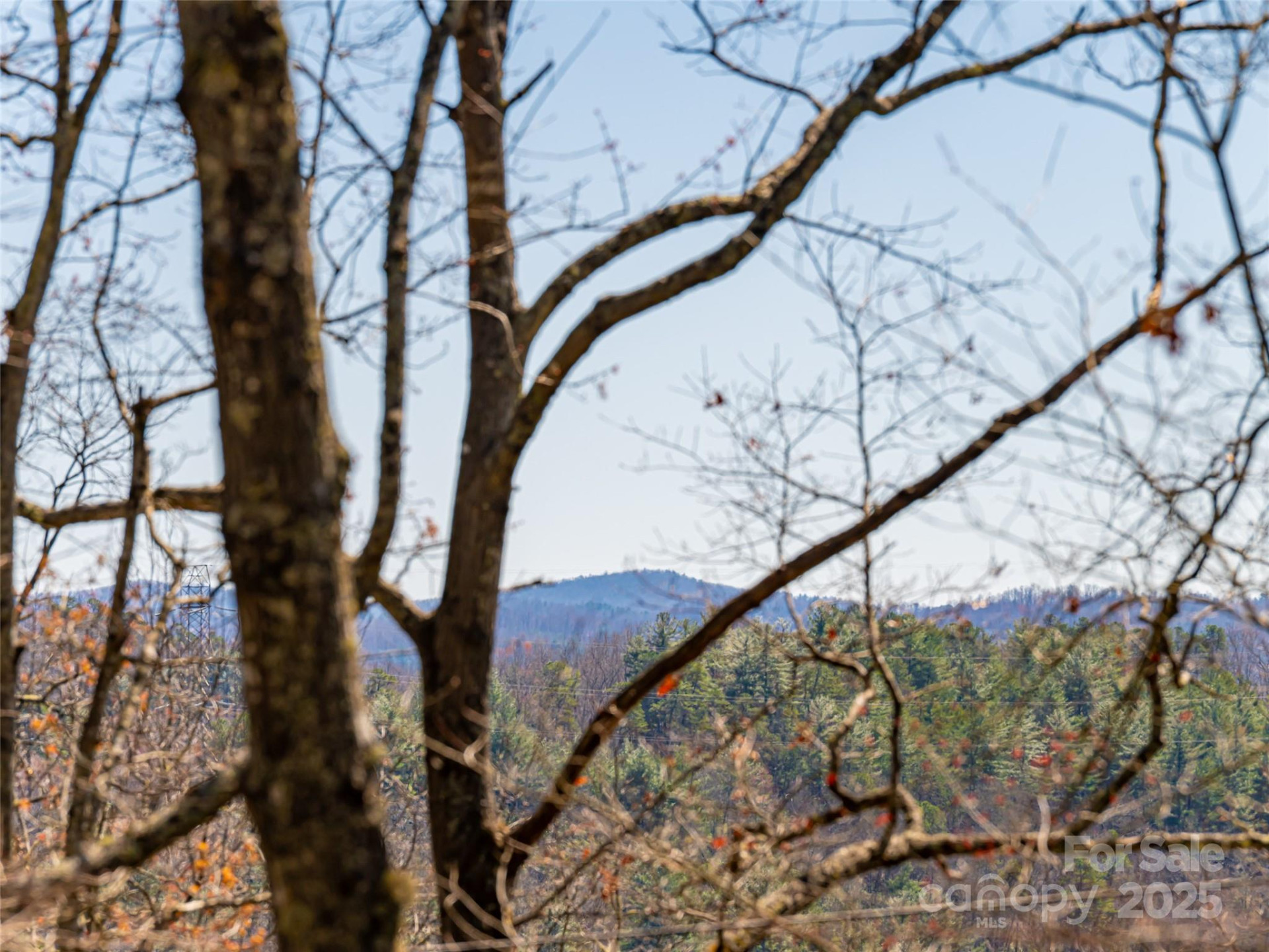 75 Deep Woods Road - Photo 36