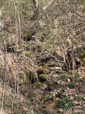 25 Green Meadow Lane