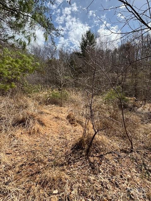 25 Green Meadow Lane #25 - Photo 2