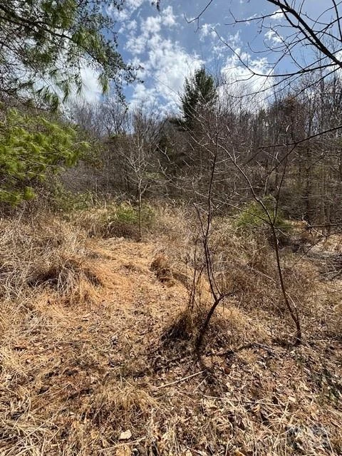 25 Green Meadow Lane #25 - Photo 2
