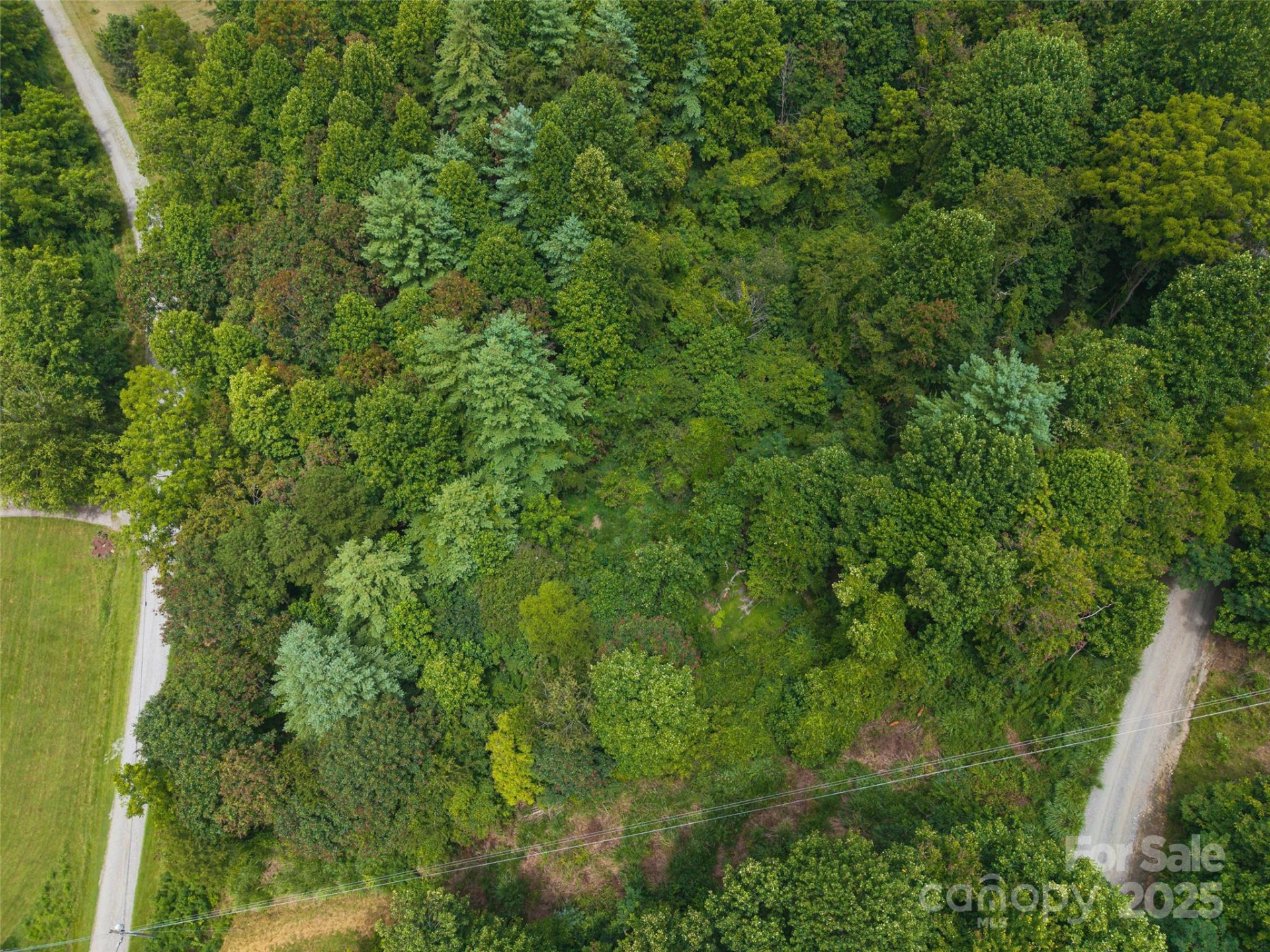 25 Green Meadow Lane #25 - Photo 12