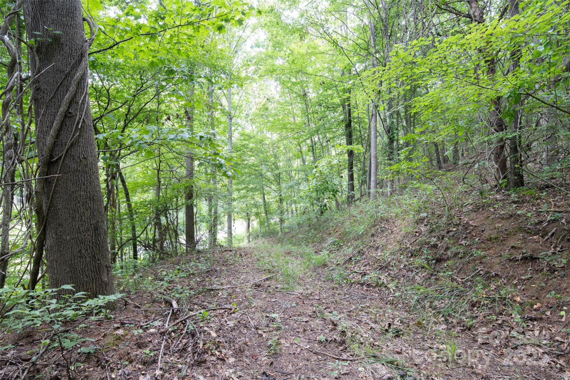 25 Green Meadow Lane #25 - Photo 14