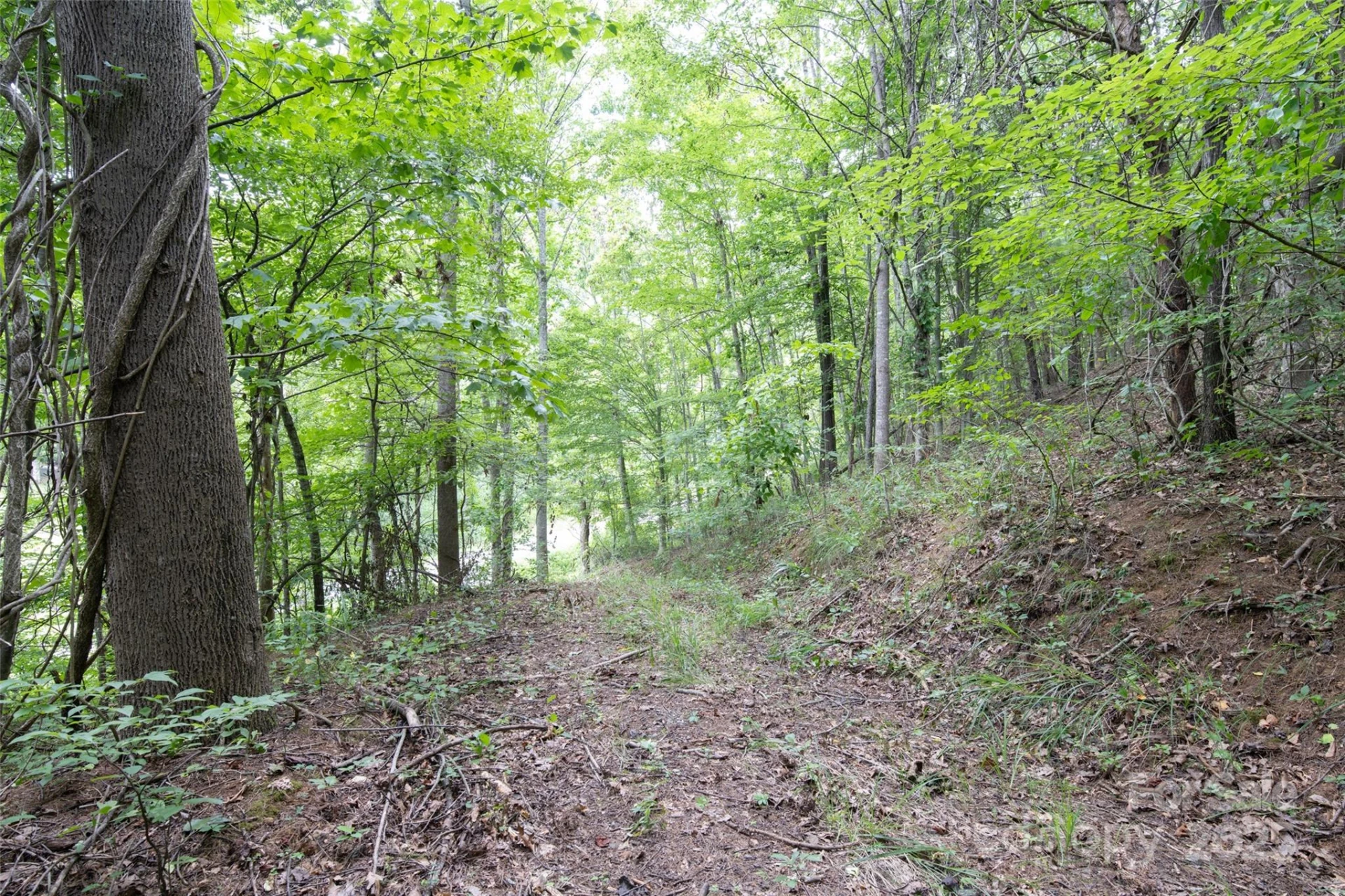 25 Green Meadow Lane #25 - Photo 14
