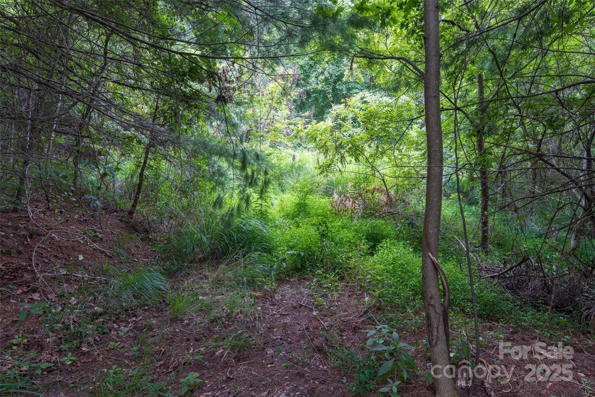 25 Green Meadow Lane #25 - Photo 15