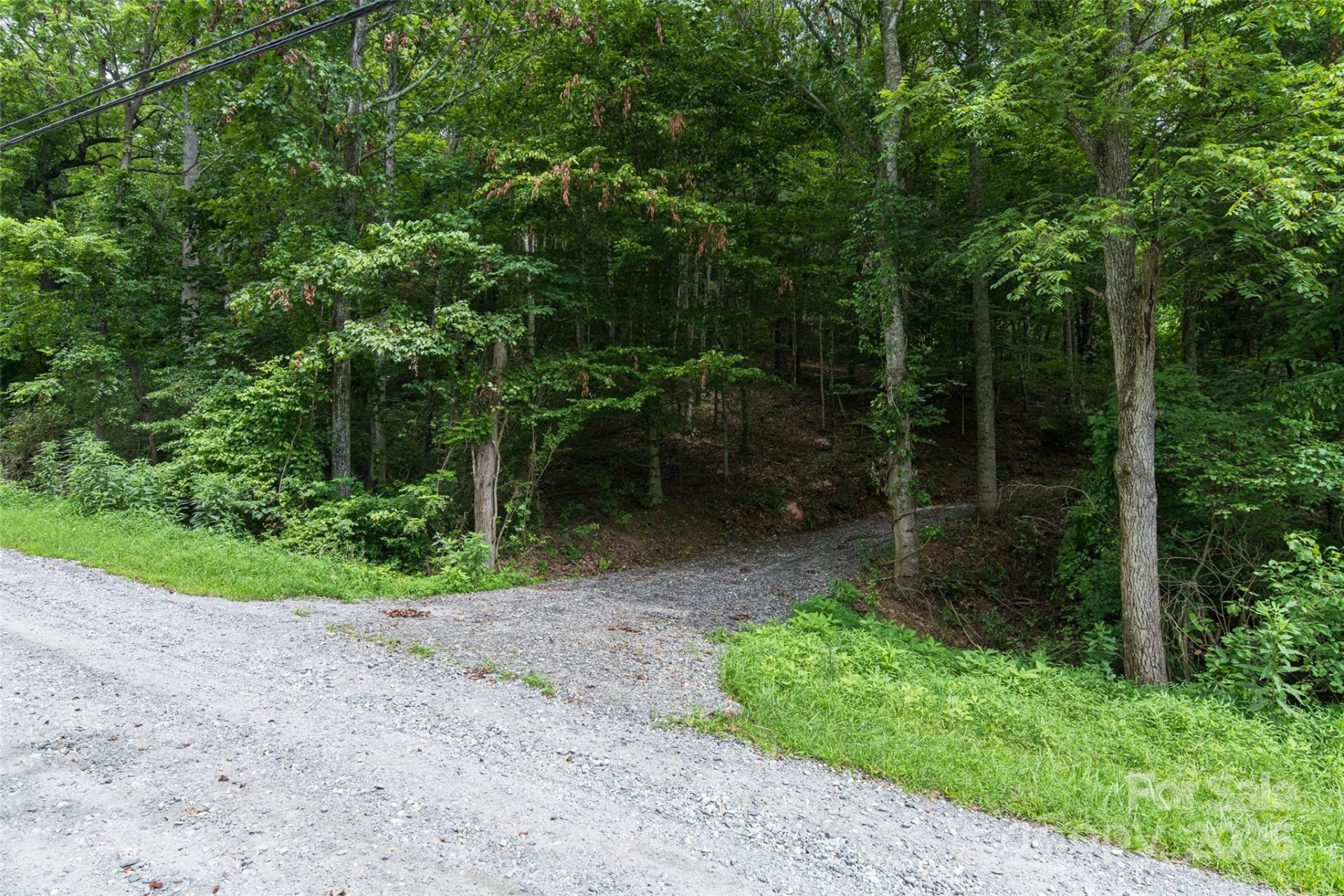 25 Green Meadow Lane #25 - Photo 16