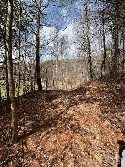 25 Green Meadow Lane #25 - Photo 3