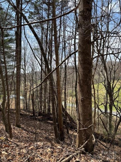 25 Green Meadow Lane #25 - Photo 4