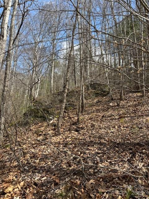 25 Green Meadow Lane #25 - Photo 5