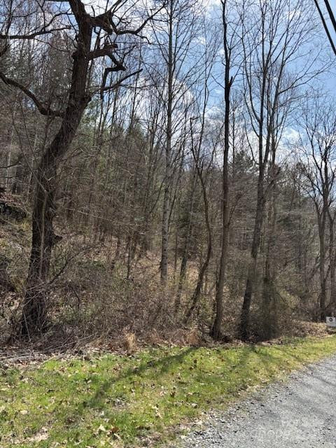 25 Green Meadow Lane #25 - Photo 6