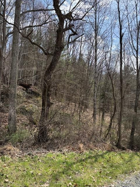 25 Green Meadow Lane #25 - Photo 7