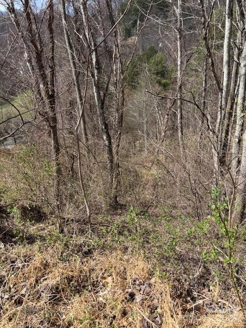 25 Green Meadow Lane #25 - Photo 8