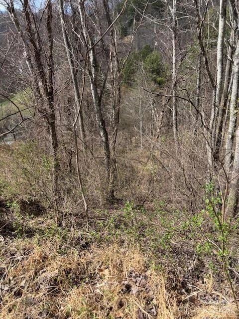 25 Green Meadow Lane #25 - Photo 8