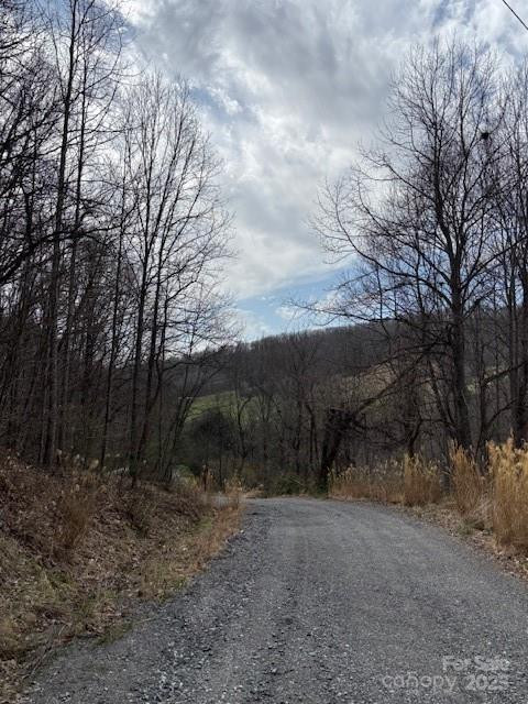 25 Green Meadow Lane #25 - Photo 9