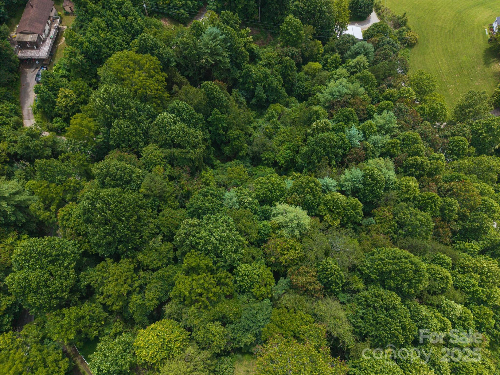 25 Green Meadow Lane #25 - Photo 10