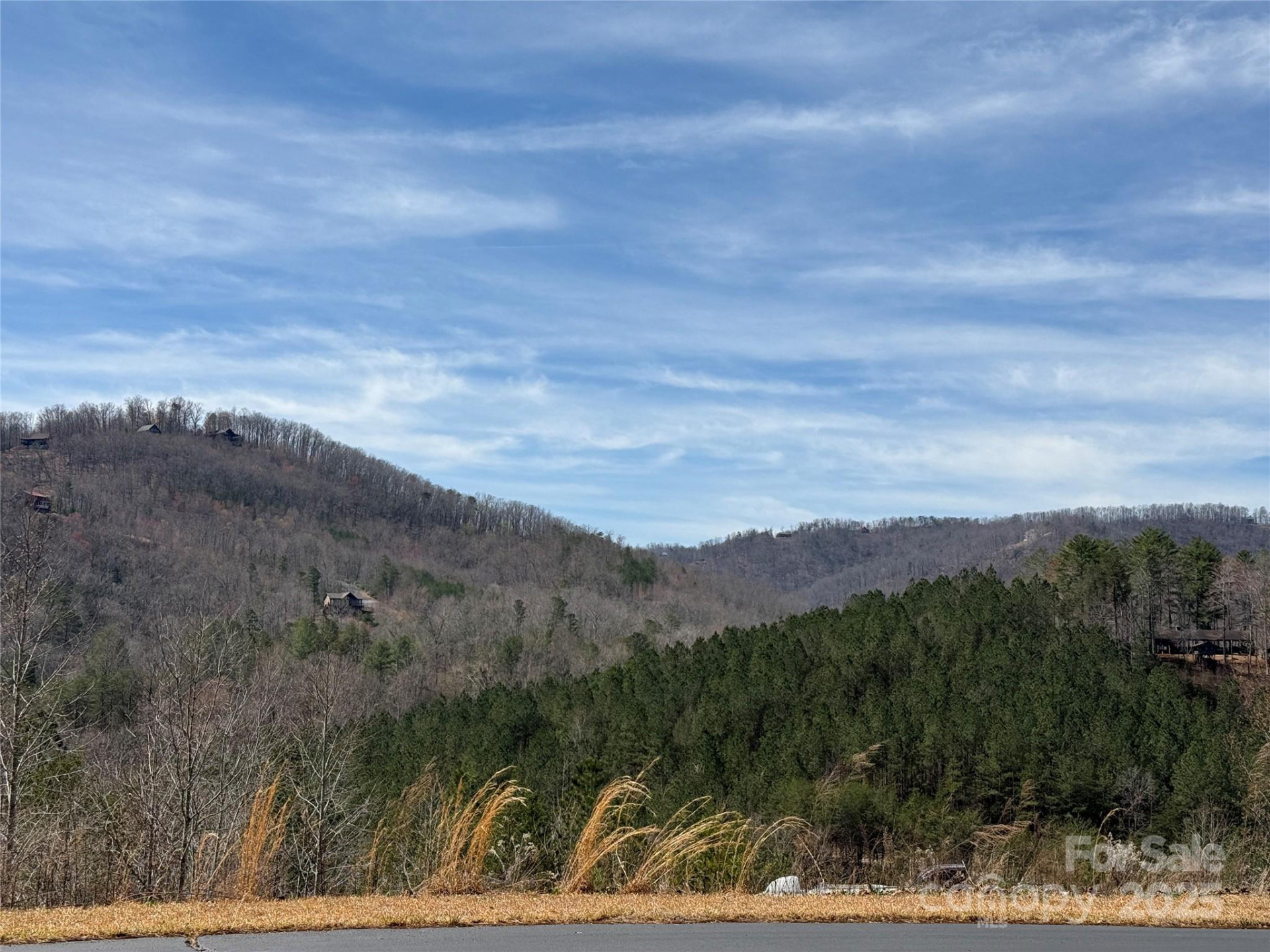 0 Pinegrove Drive - Photo 2