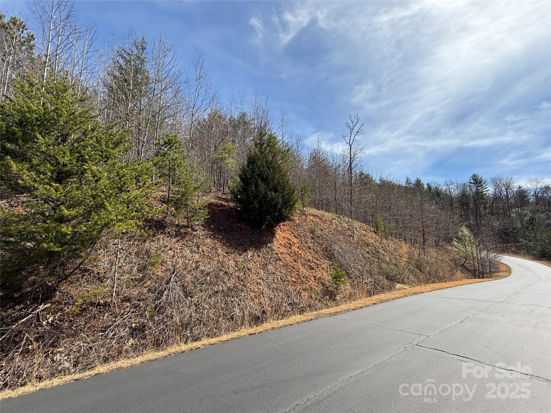 0 Pinegrove Drive - Photo 11