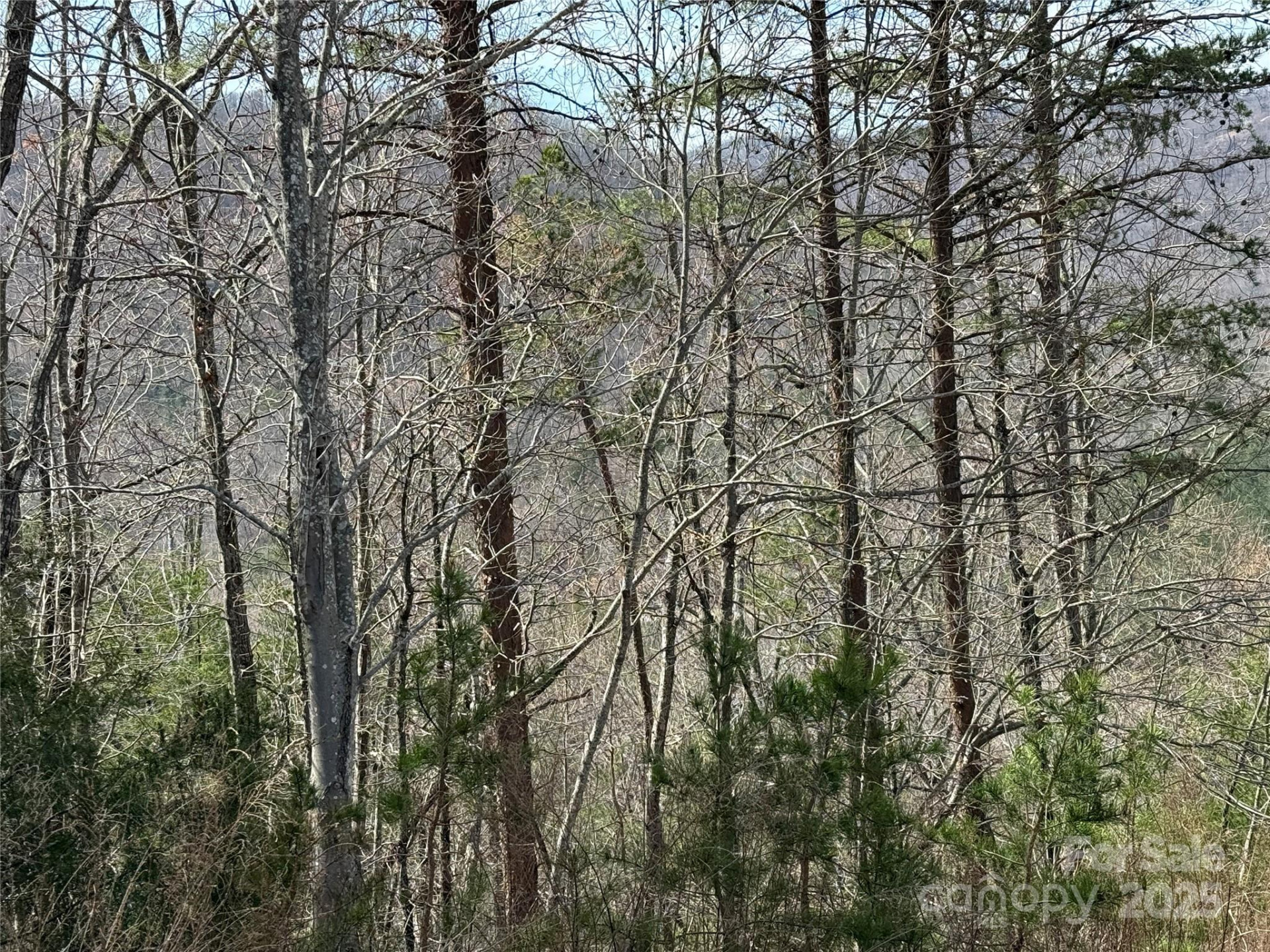 0 Pinegrove Drive - Photo 12