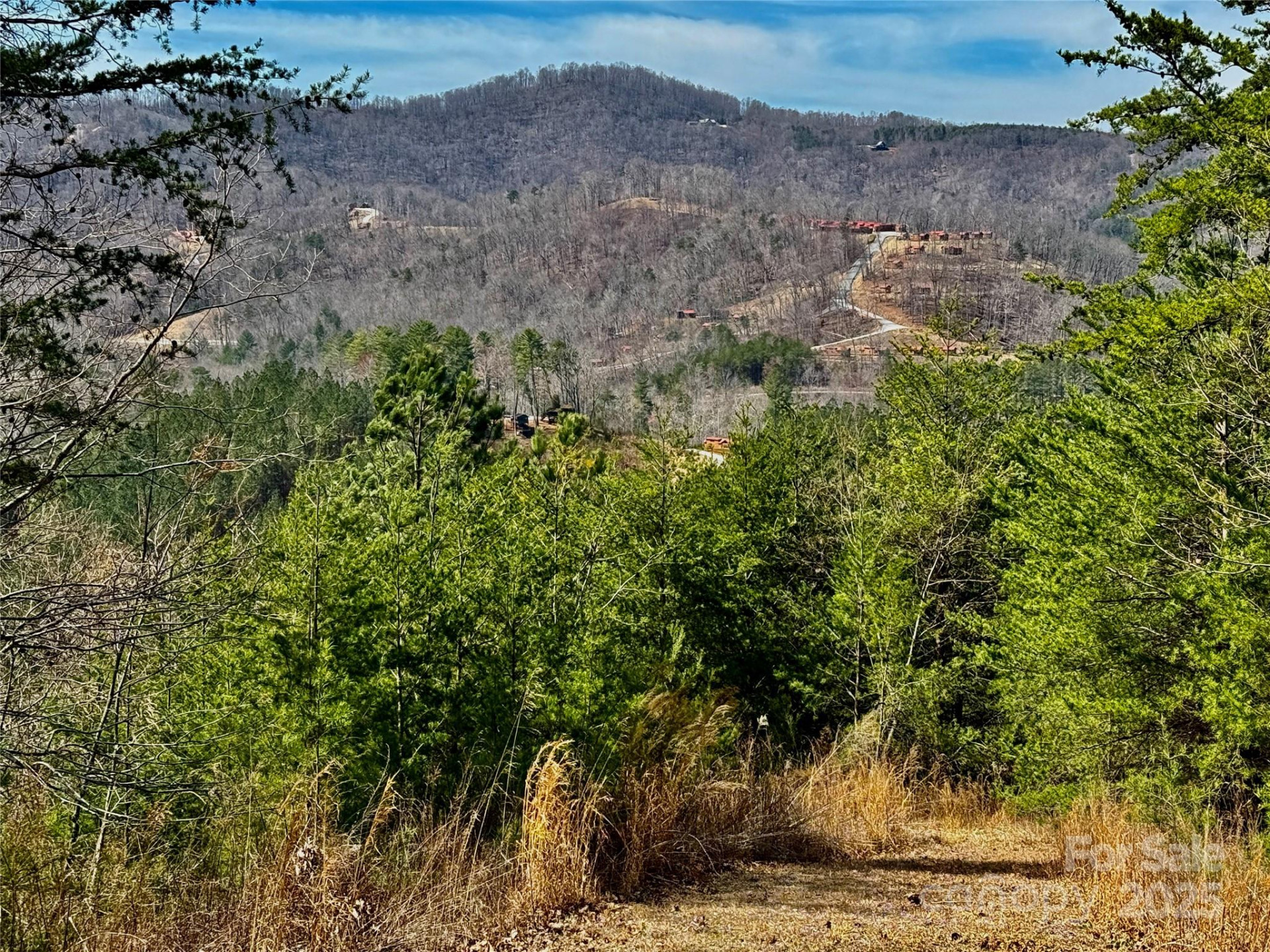 0 Pinegrove Drive - Photo 14