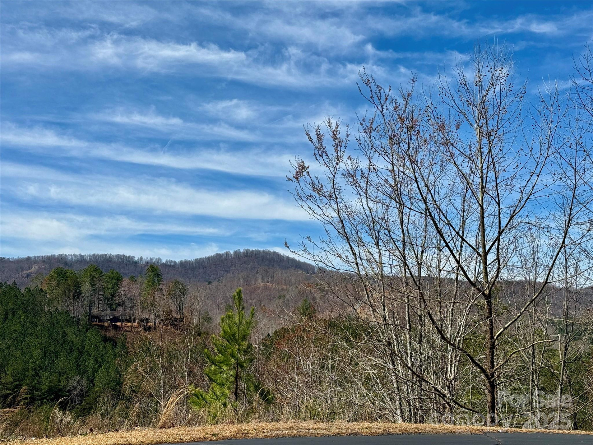 0 Pinegrove Drive - Photo 17