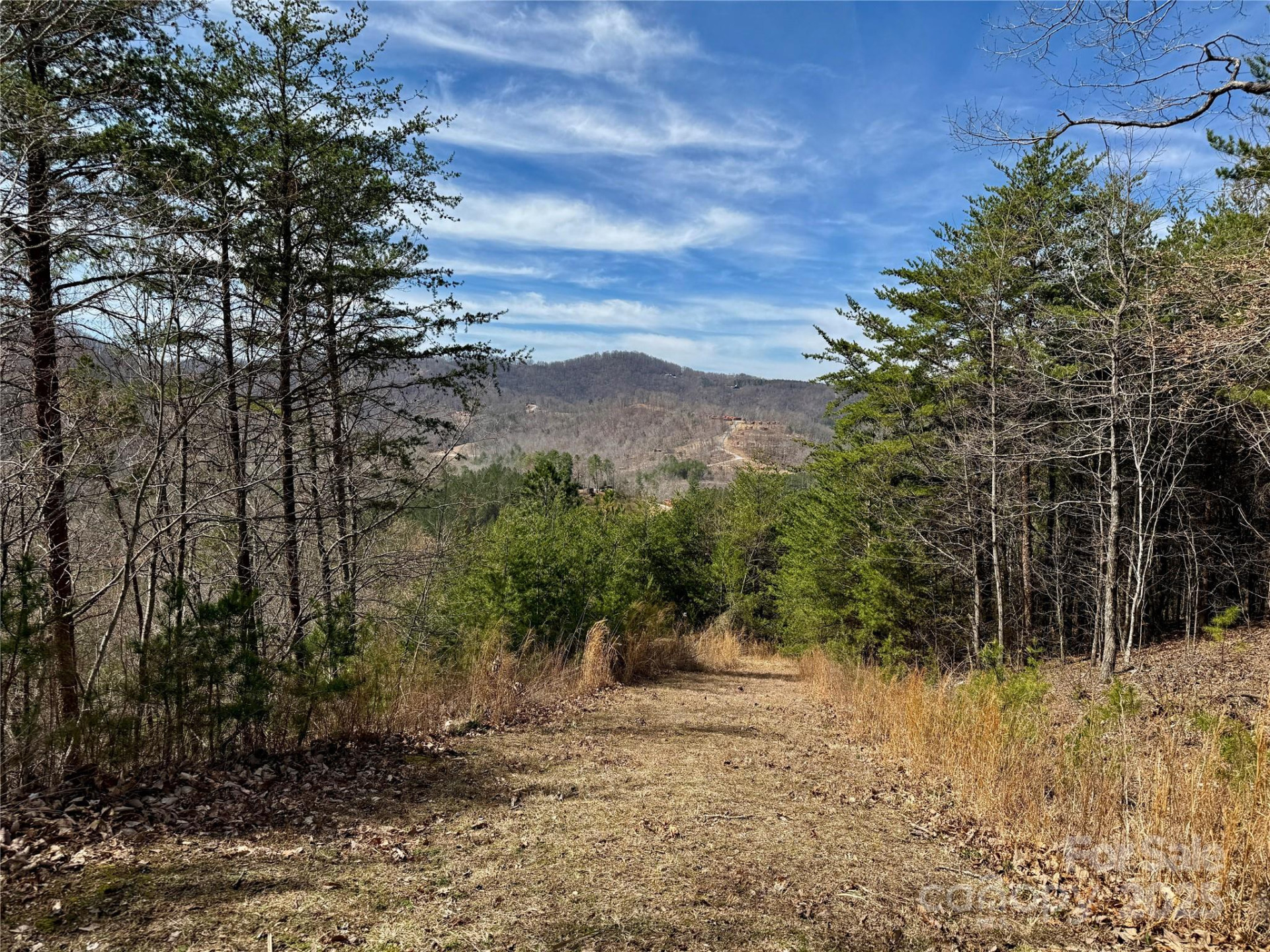 0 Pinegrove Drive - Photo 19