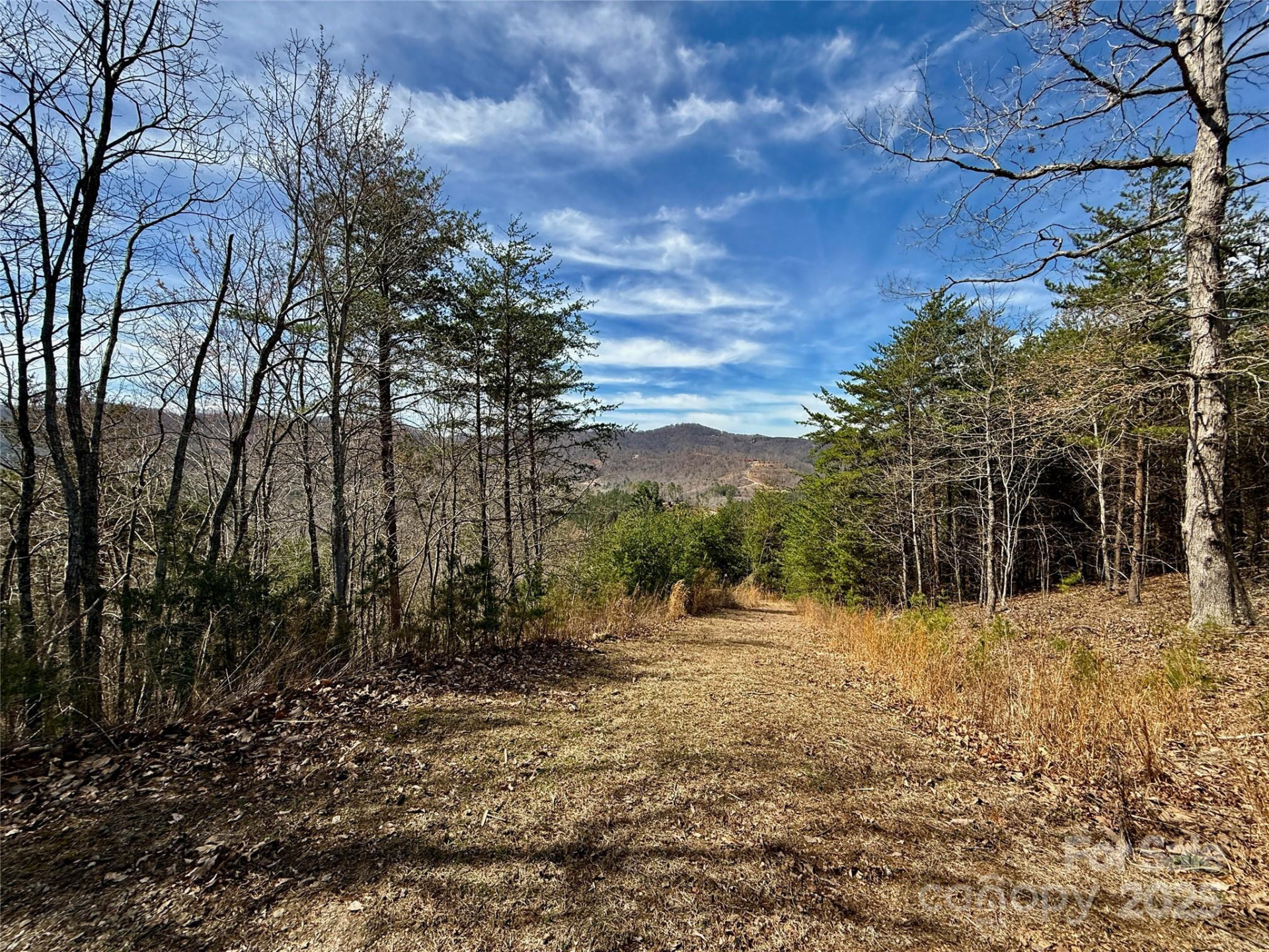 0 Pinegrove Drive - Photo 20