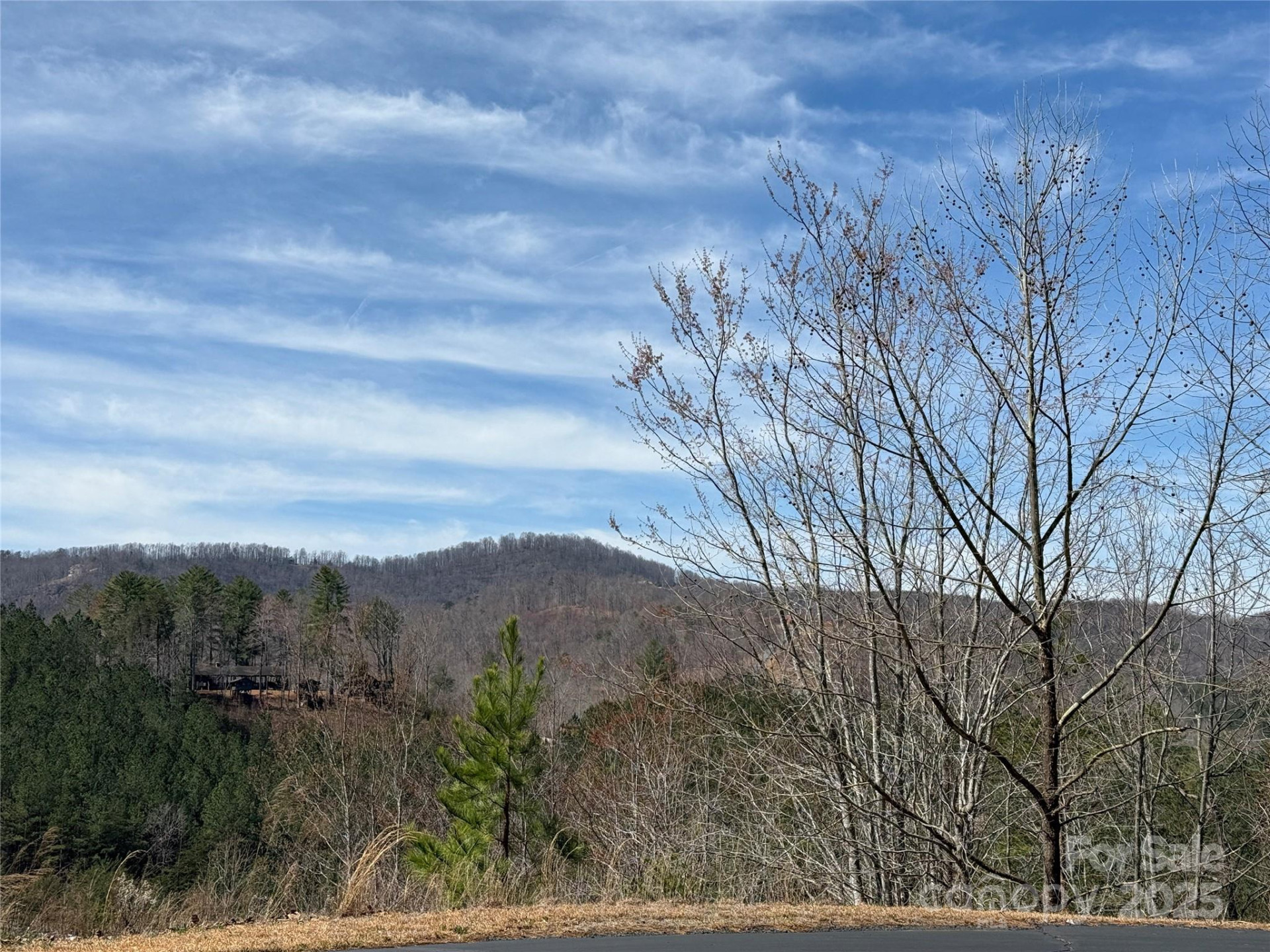 0 Pinegrove Drive - Photo 3