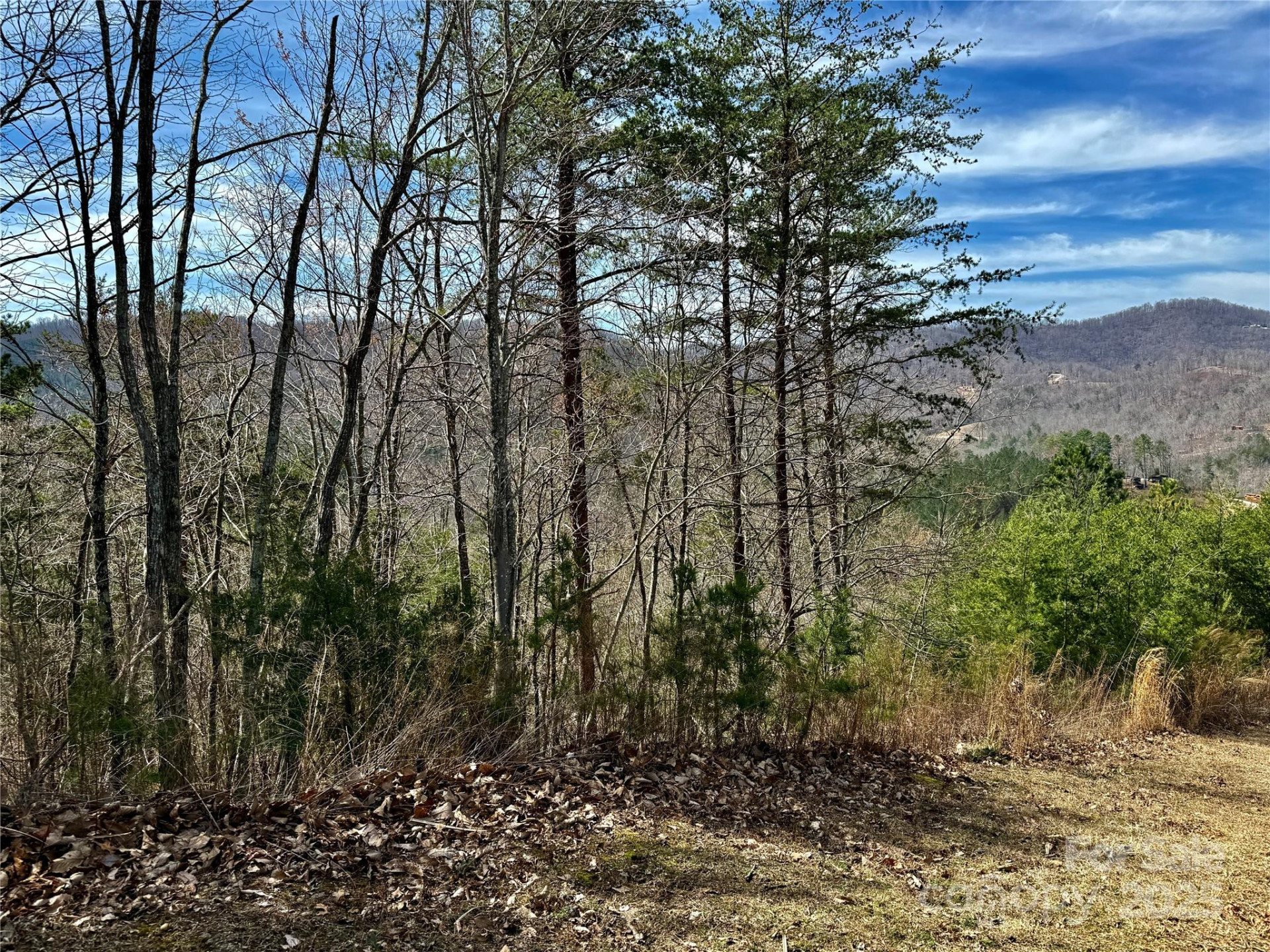 0 Pinegrove Drive - Photo 22