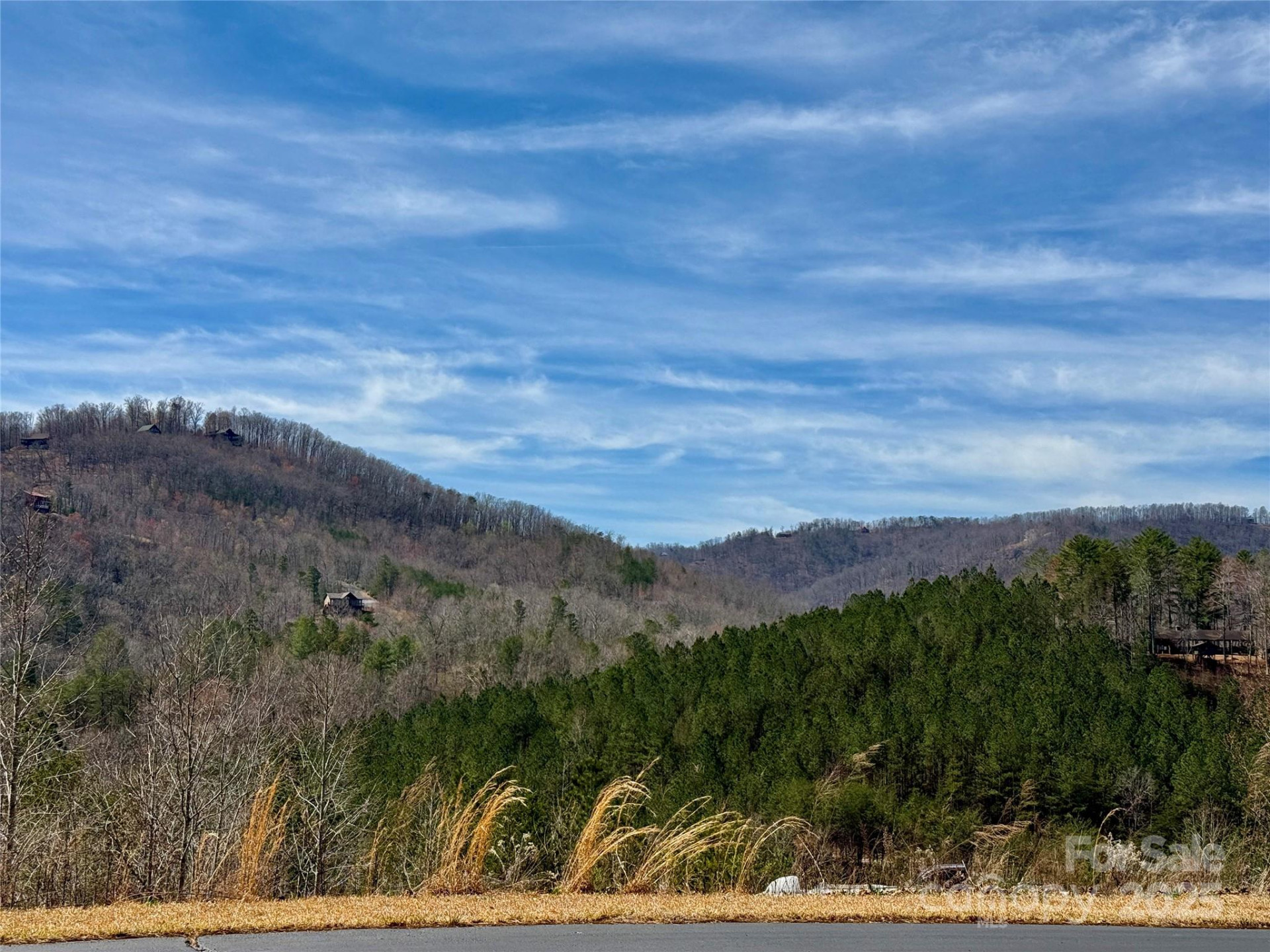 0 Pinegrove Drive - Photo 4