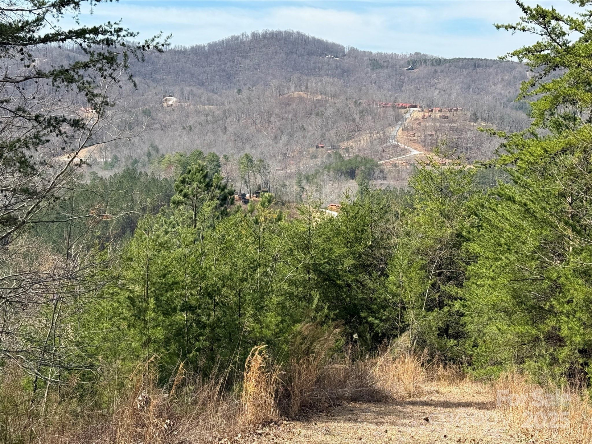 0 Pinegrove Drive - Photo 7