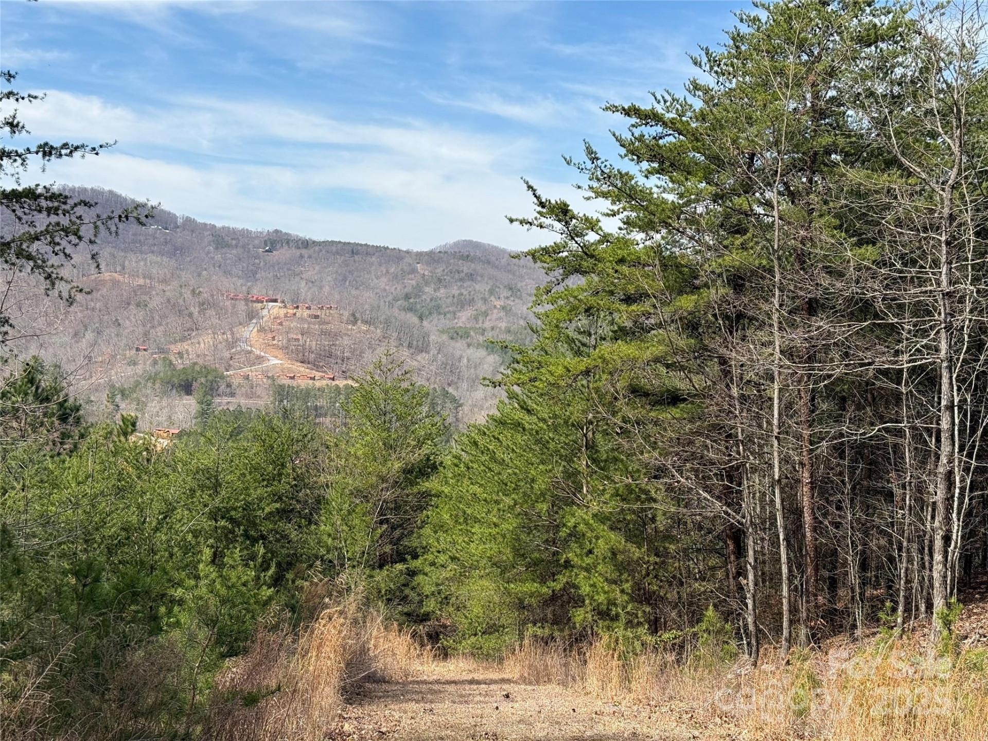 0 Pinegrove Drive - Photo 8