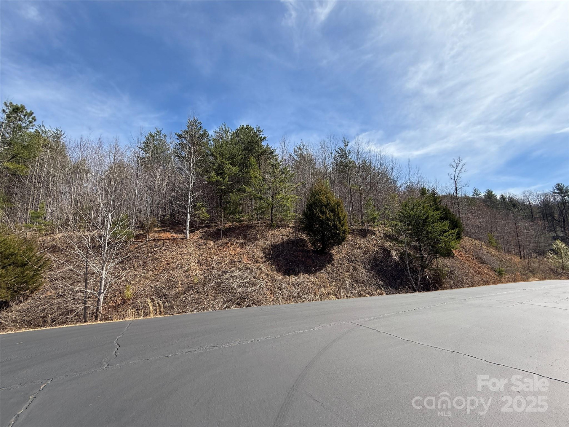 0 Pinegrove Drive - Photo 9