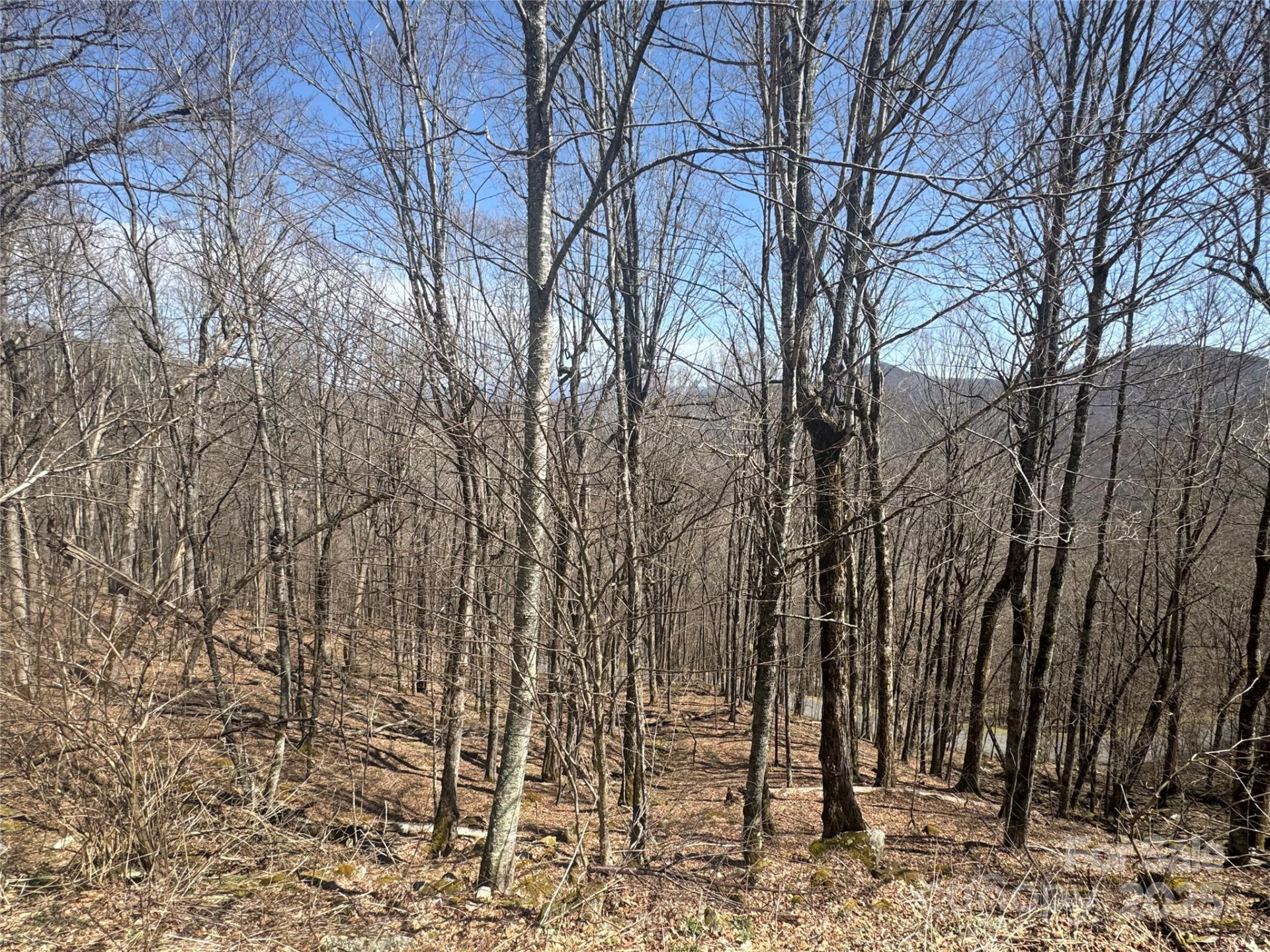 14 & 16 Overlook Drive