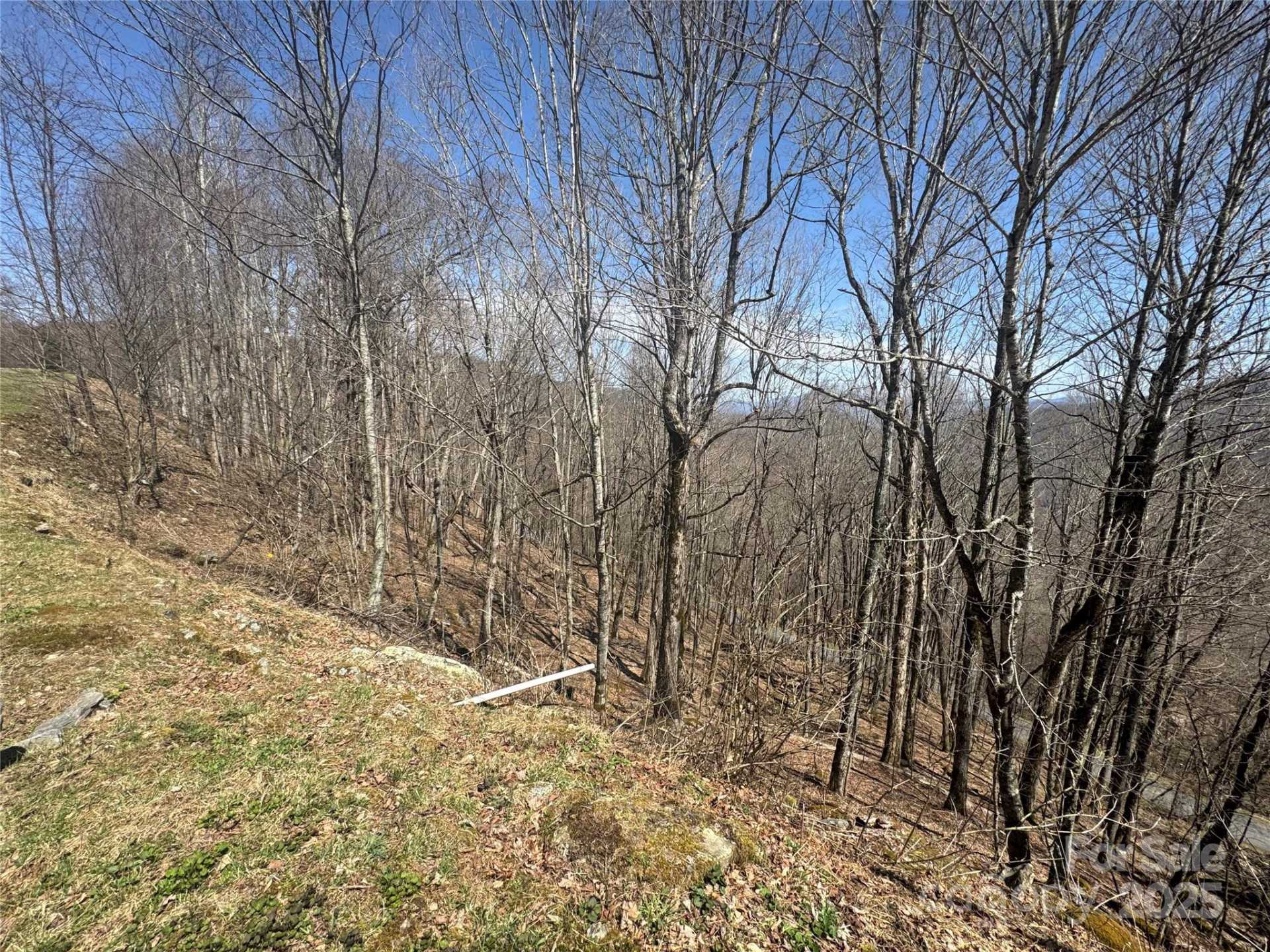 14 & 16 Overlook Drive - Photo 2