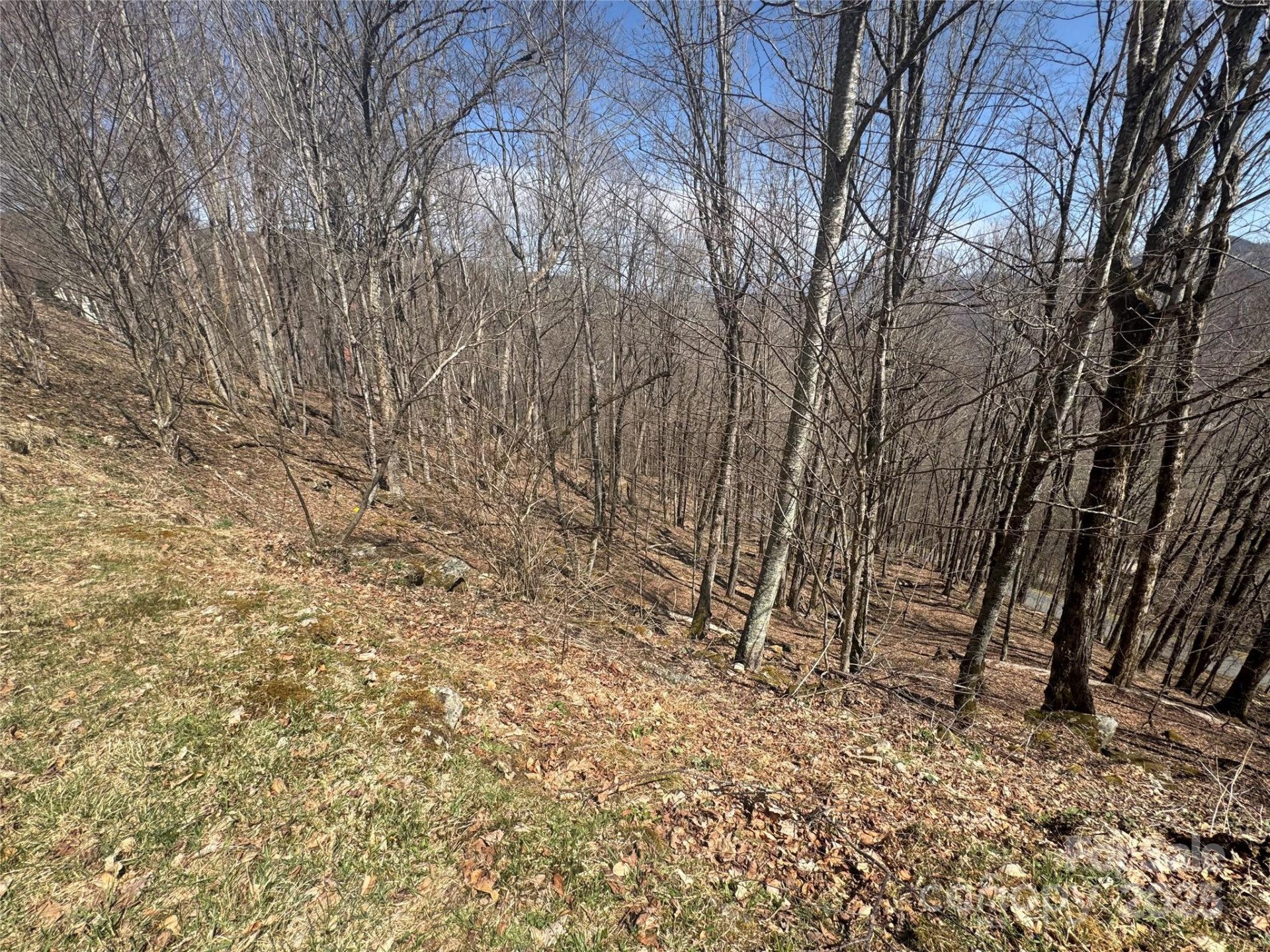 14 & 16 Overlook Drive - Photo 4