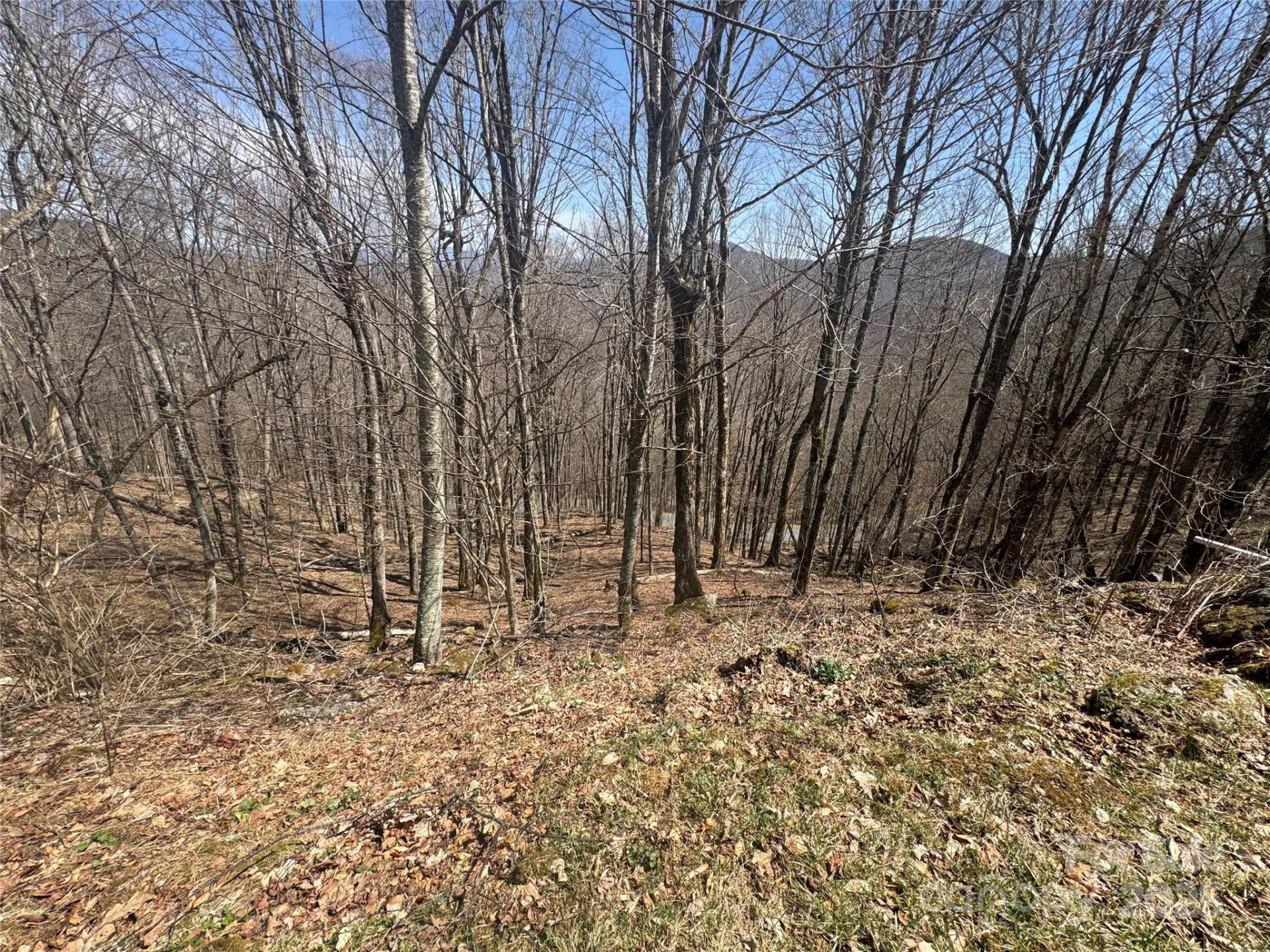 14 & 16 Overlook Drive - Photo 5