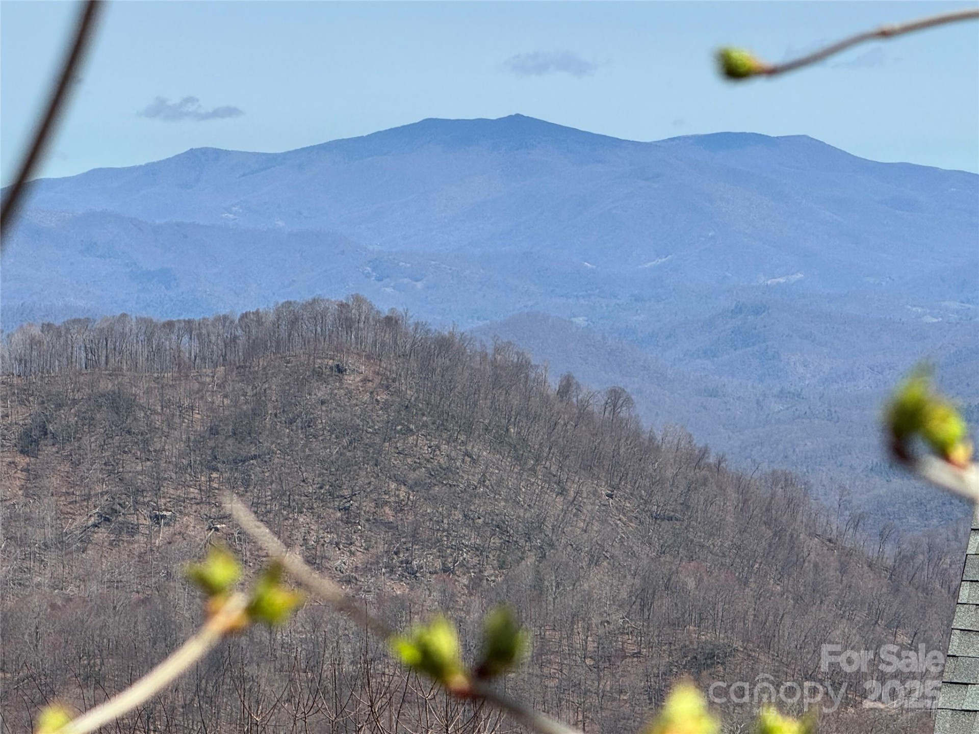 14 & 16 Overlook Drive - Photo 9