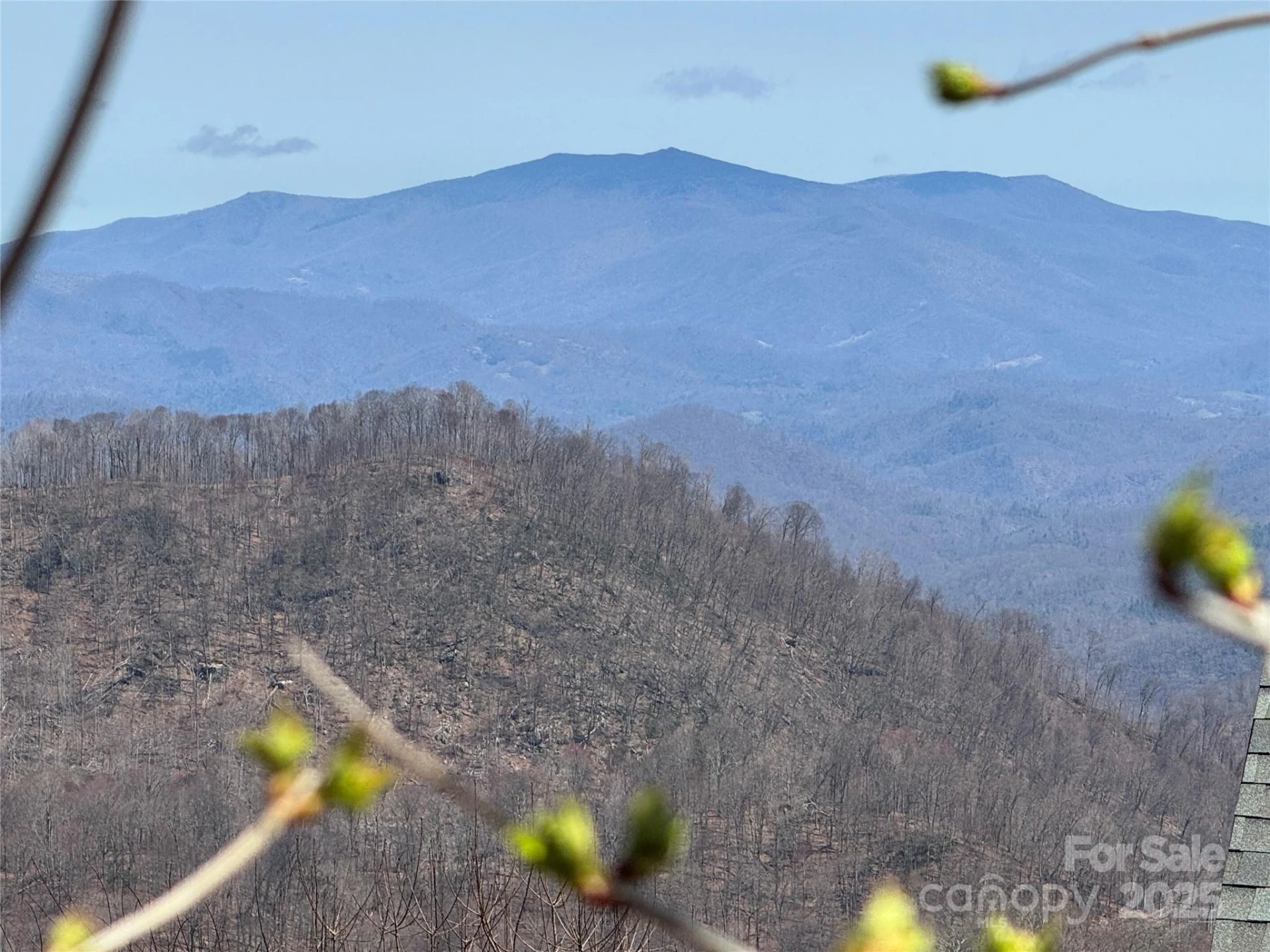14 & 16 Overlook Drive - Photo 9