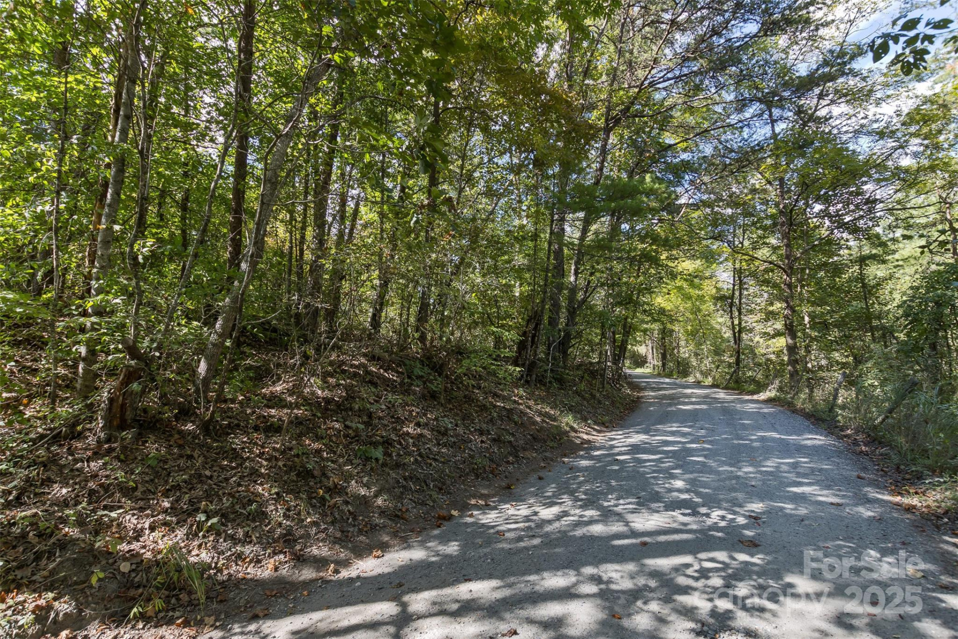 99999 Rocky Hollow #Tract 3 - Photo 11