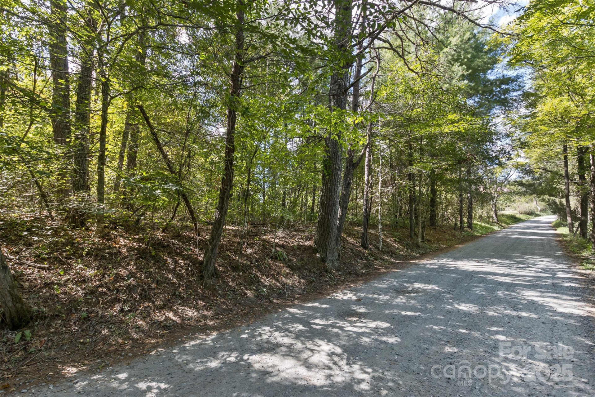 99999 Rocky Hollow #Tract 3 - Photo 12