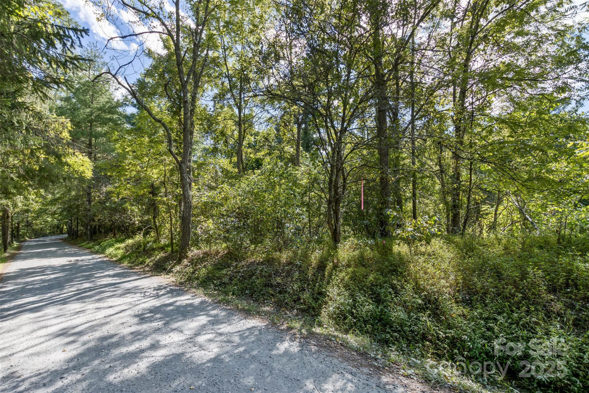 99999 Rocky Hollow #Tract 3 - Photo 13