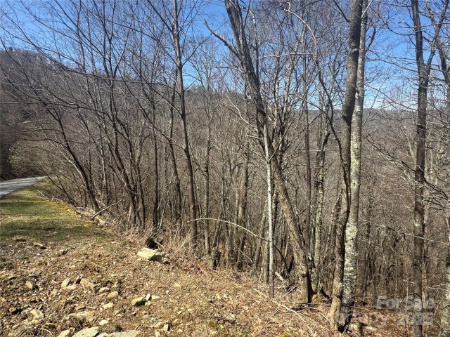 53 & 55 Running Cedar Drive