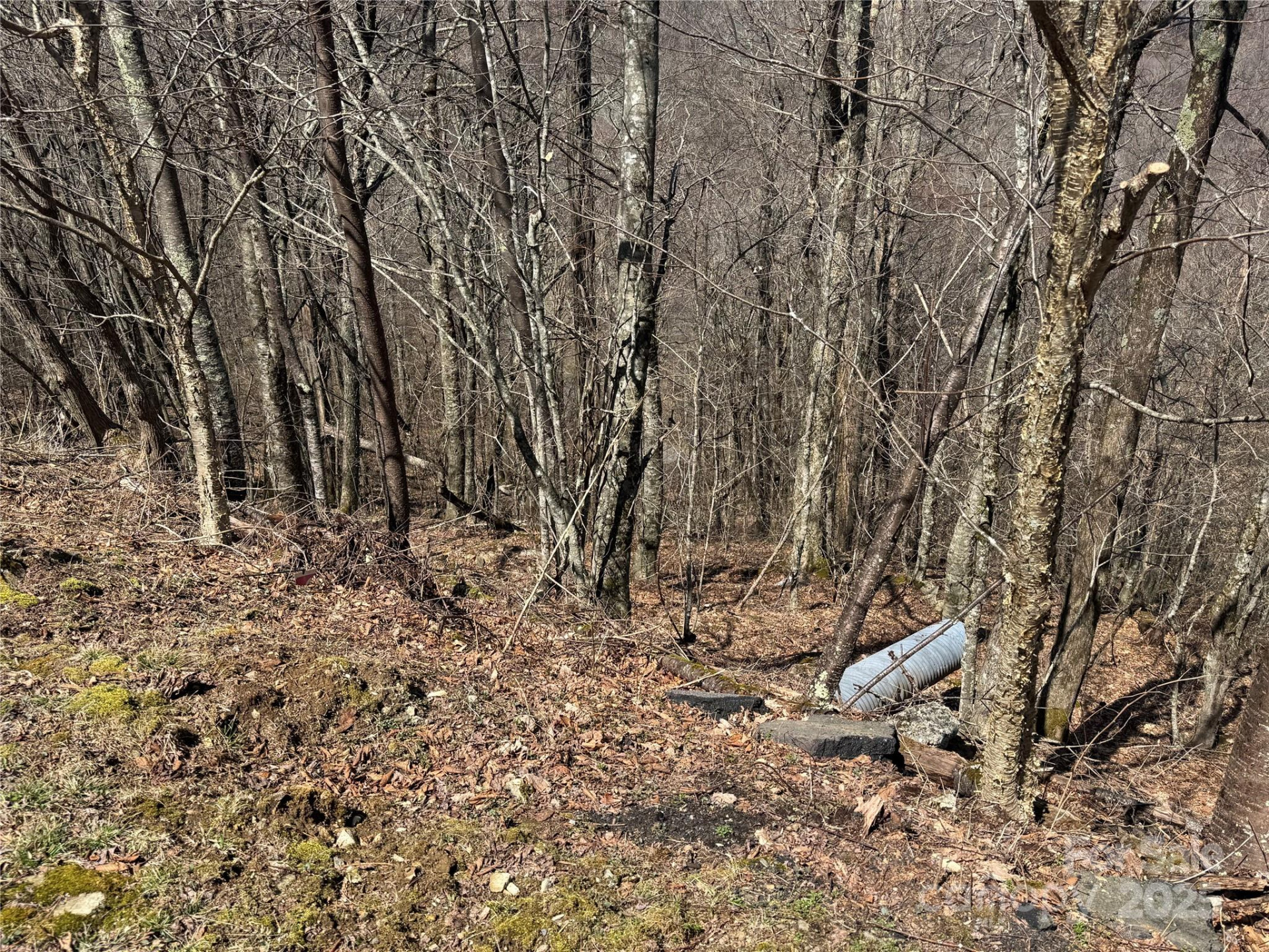 53 & 55 Running Cedar Drive - Photo 11