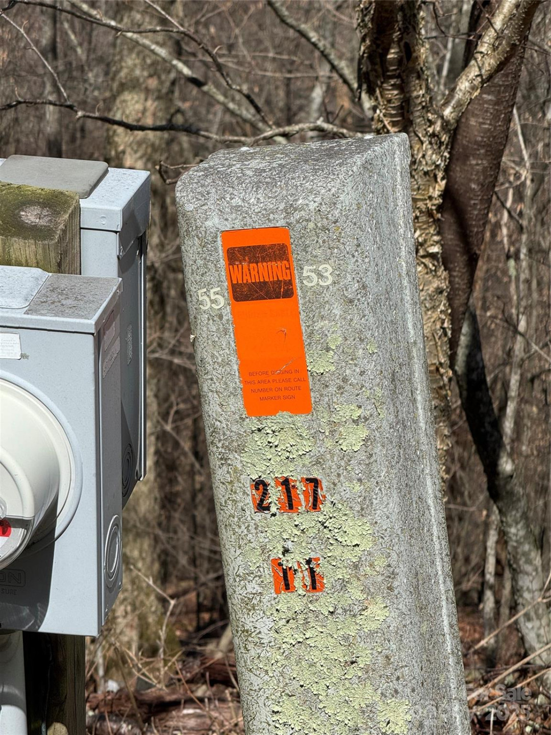 53 & 55 Running Cedar Drive - Photo 3