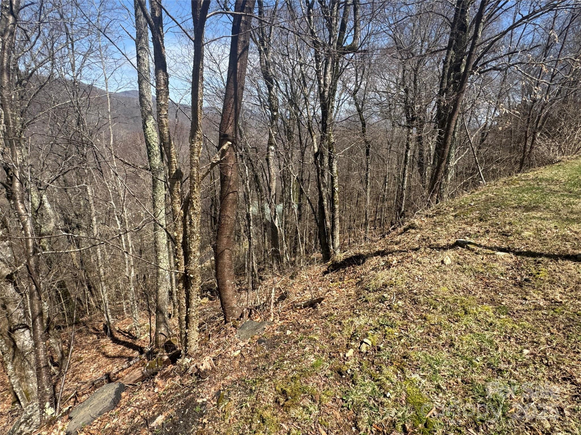 53 & 55 Running Cedar Drive - Photo 4