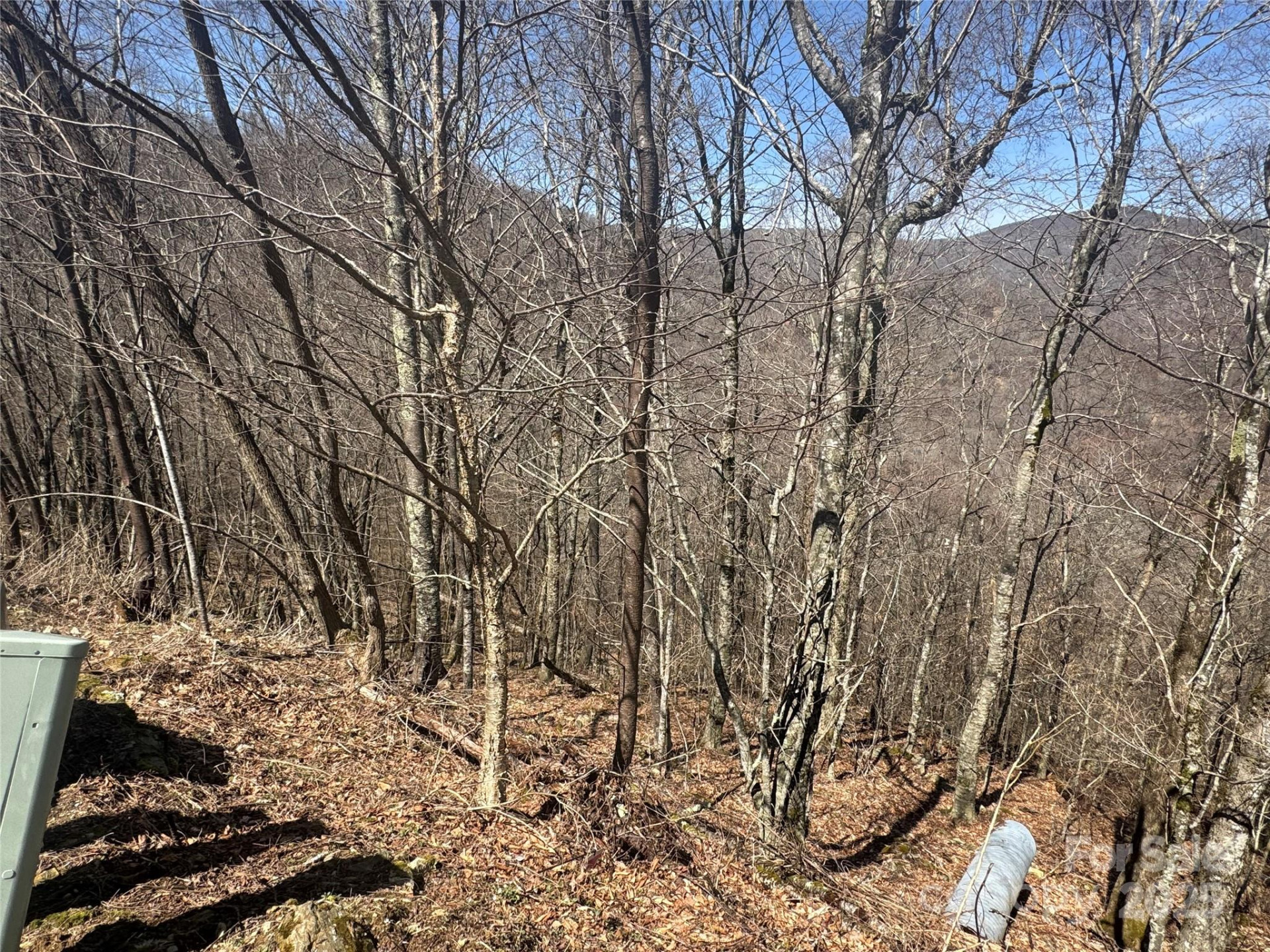 53 & 55 Running Cedar Drive - Photo 5