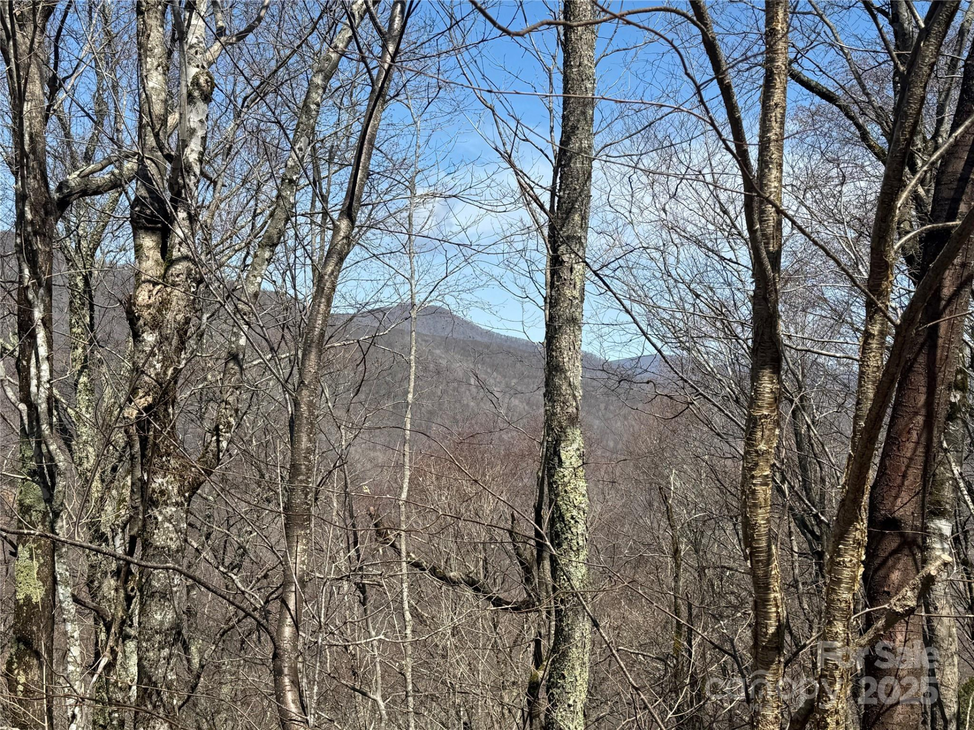 53 & 55 Running Cedar Drive - Photo 6