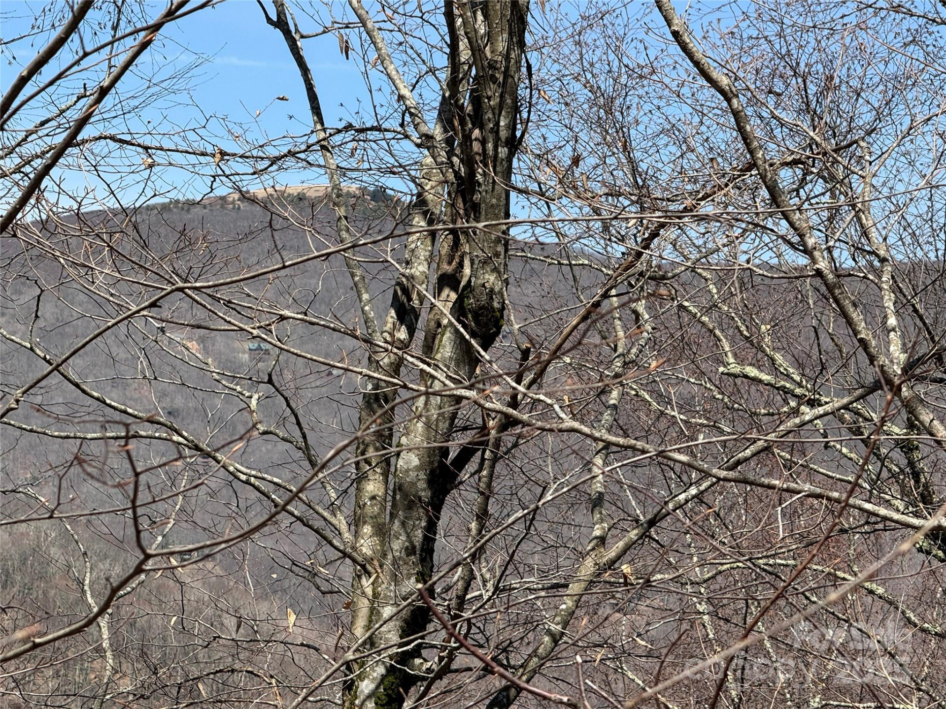 53 & 55 Running Cedar Drive - Photo 7